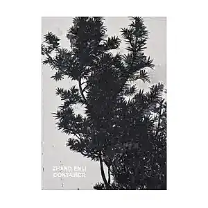 Front page of Container by Zhang Enli hardcover showing tree branches in black and white.